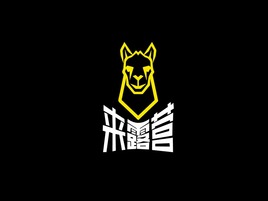 创意酷炫运动品牌logo设计公司logo设计